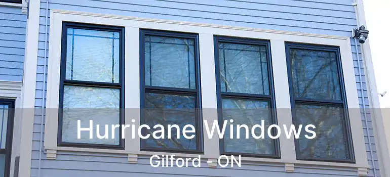  Hurricane Windows Gilford - ON