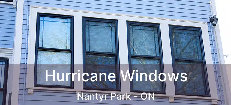  Hurricane Windows Nantyr Park - ON