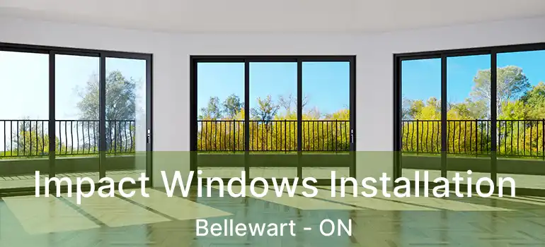  Impact Windows Installation Bellewart - ON