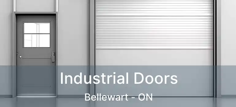  Industrial Doors Bellewart - ON