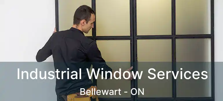 Industrial Window Services Bellewart - ON