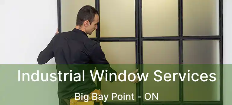  Industrial Window Services Big Bay Point - ON