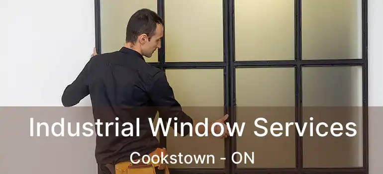  Industrial Window Services Cookstown - ON