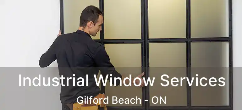  Industrial Window Services Gilford Beach - ON