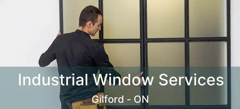  Industrial Window Services Gilford - ON