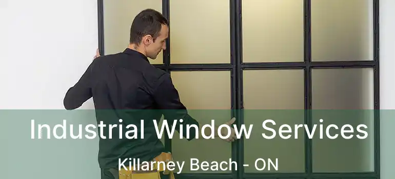  Industrial Window Services Killarney Beach - ON