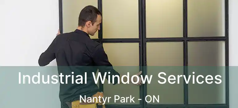  Industrial Window Services Nantyr Park - ON