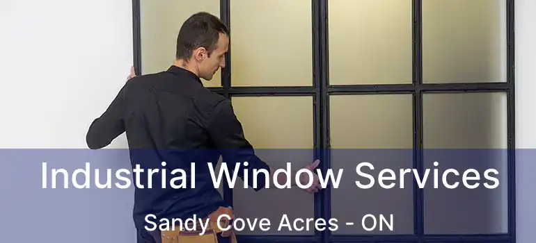  Industrial Window Services Sandy Cove Acres - ON