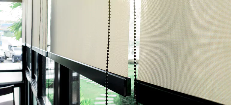 Blackout Window Shades in Gilford, Ontario