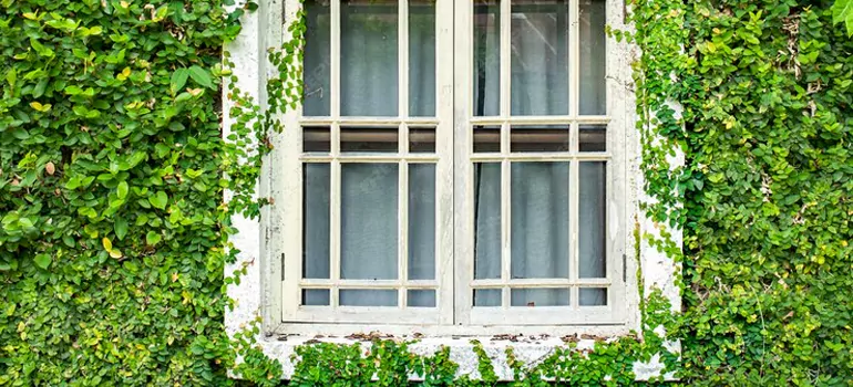 Garden Window Repair Near Me in Cookstown, ON