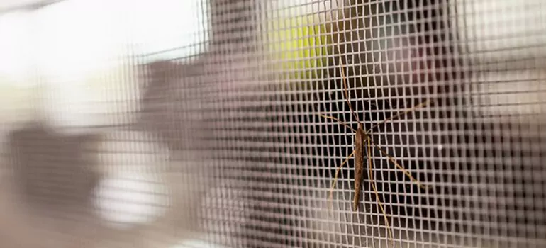 Repair Mosquito Mesh For Windows in Cookstown, Ontario