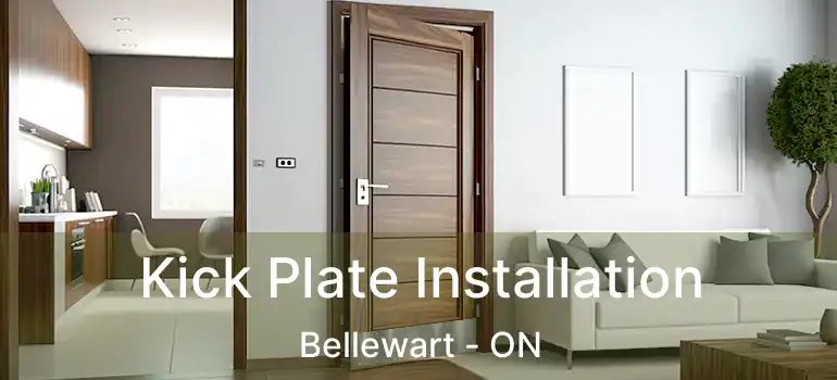  Kick Plate Installation Bellewart - ON