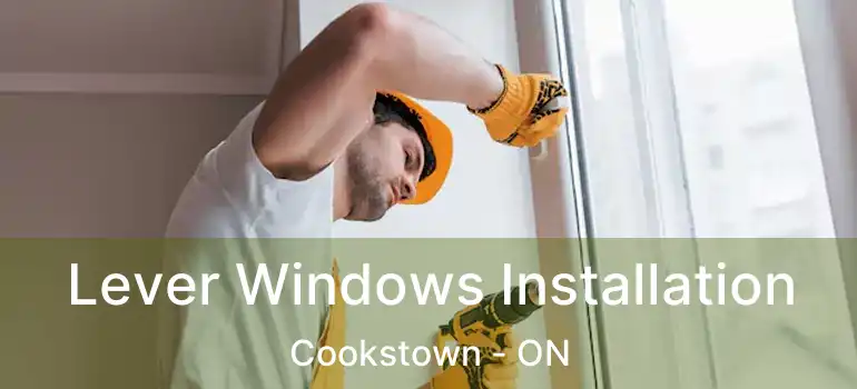  Lever Windows Installation Cookstown - ON