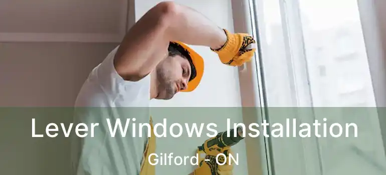  Lever Windows Installation Gilford - ON