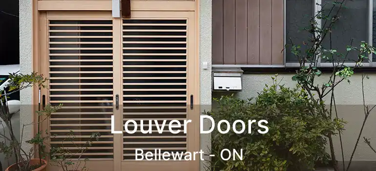 Louver Doors Bellewart - ON