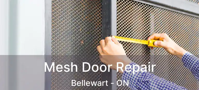  Mesh Door Repair Bellewart - ON