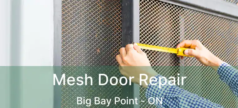  Mesh Door Repair Big Bay Point - ON