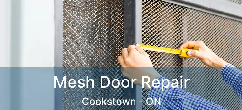  Mesh Door Repair Cookstown - ON