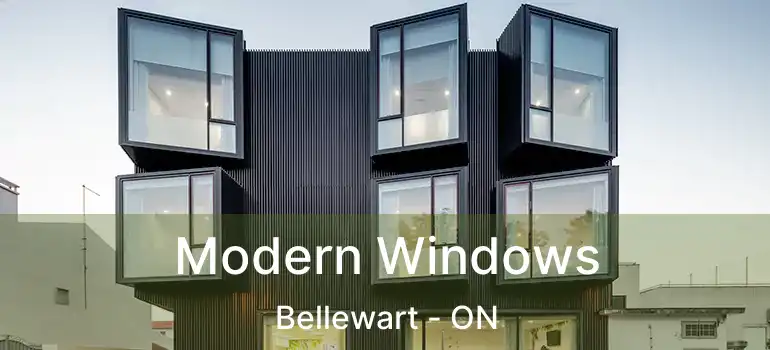  Modern Windows Bellewart - ON