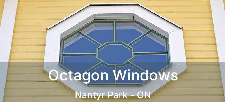  Octagon Windows Nantyr Park - ON