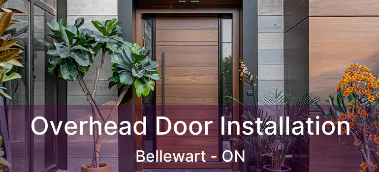  Overhead Door Installation Bellewart - ON