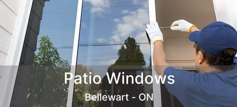  Patio Windows Bellewart - ON