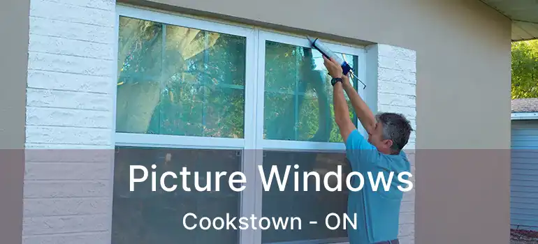  Picture Windows Cookstown - ON