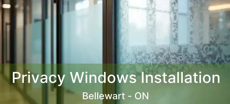  Privacy Windows Installation Bellewart - ON