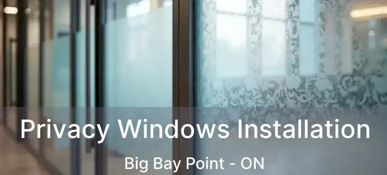  Privacy Windows Installation Big Bay Point - ON