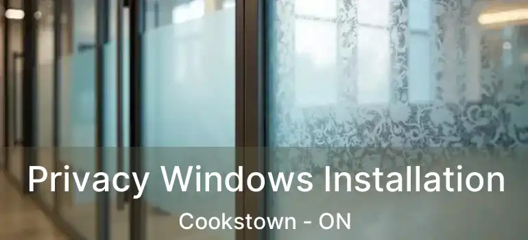  Privacy Windows Installation Cookstown - ON