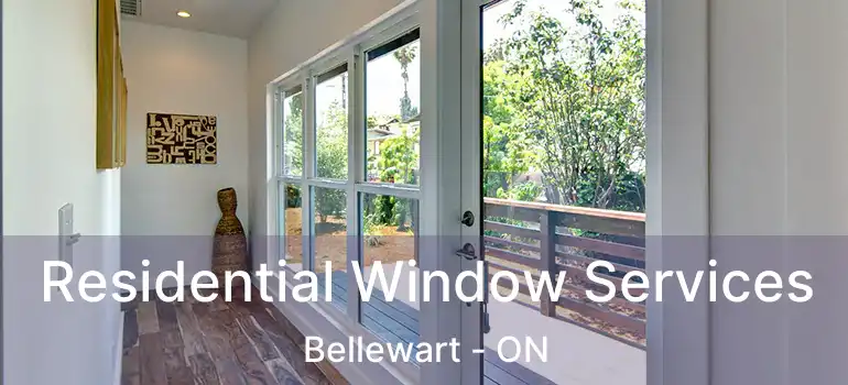  Residential Window Services Bellewart - ON