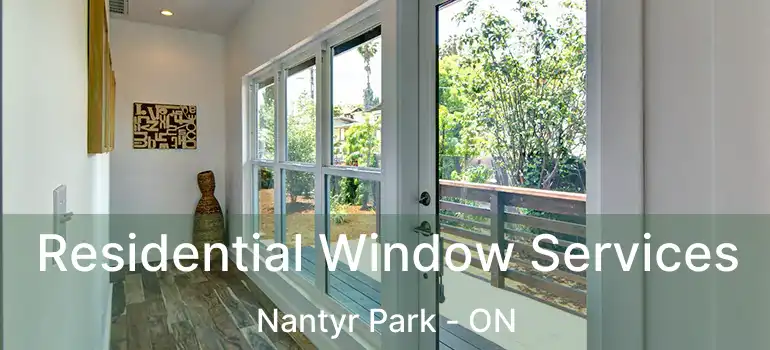  Residential Window Services Nantyr Park - ON