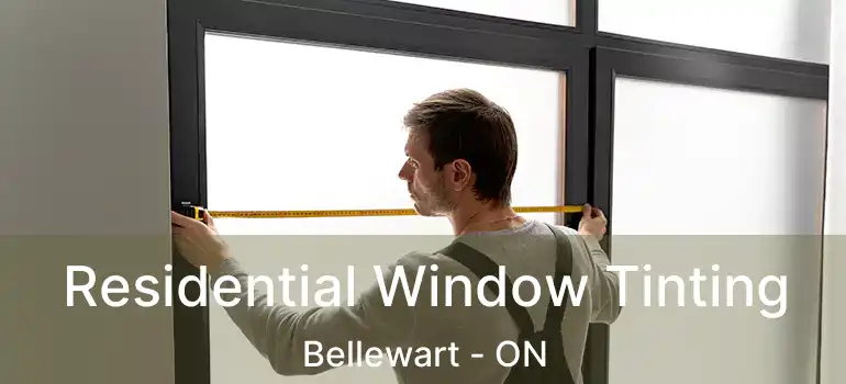  Residential Window Tinting Bellewart - ON