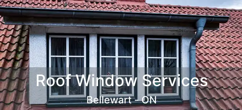  Roof Window Services Bellewart - ON