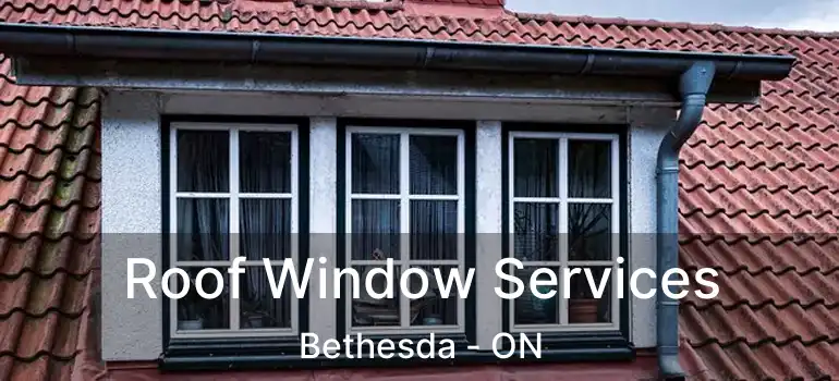  Roof Window Services Bethesda - ON