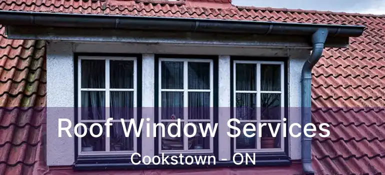  Roof Window Services Cookstown - ON