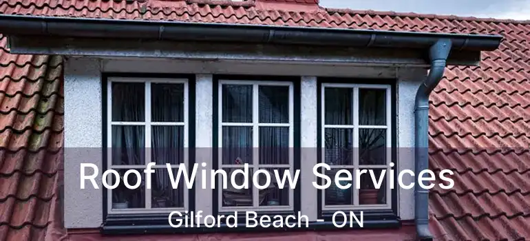  Roof Window Services Gilford Beach - ON