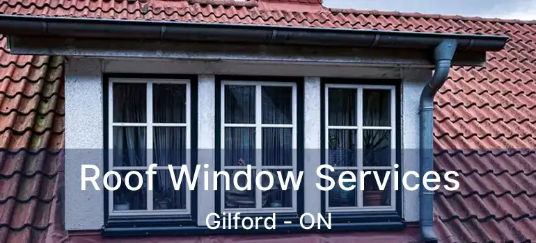  Roof Window Services Gilford - ON