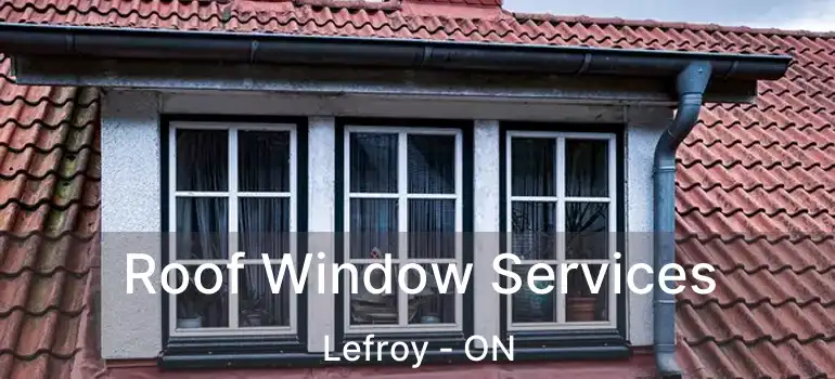  Roof Window Services Lefroy - ON