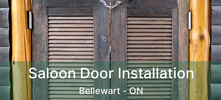  Saloon Door Installation Bellewart - ON
