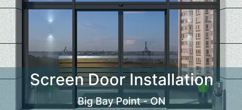  Screen Door Installation Big Bay Point - ON