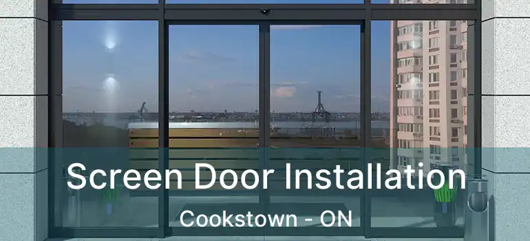  Screen Door Installation Cookstown - ON