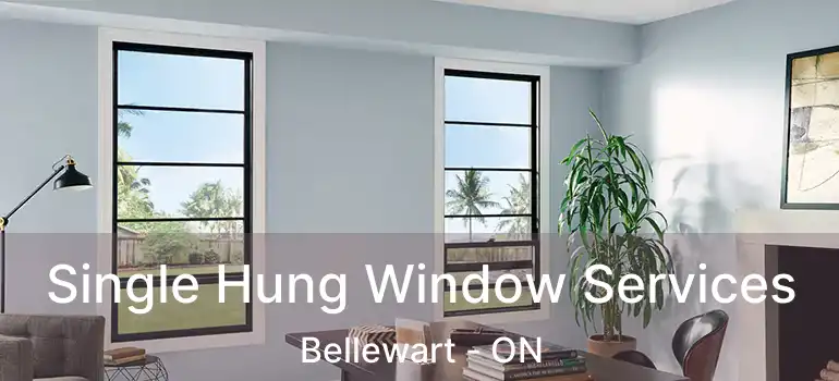  Single Hung Window Services Bellewart - ON