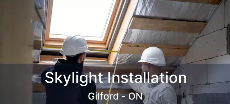  Skylight Installation Gilford - ON