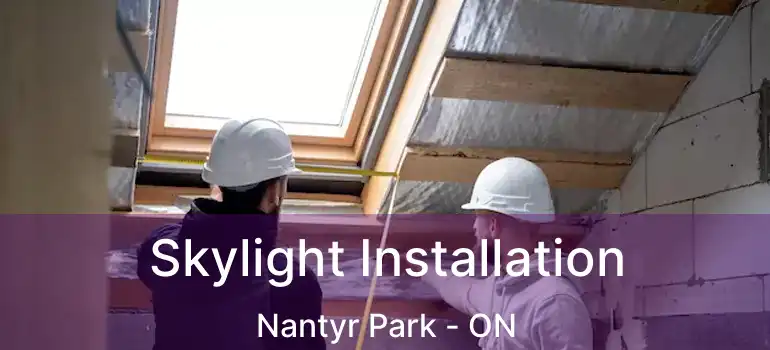  Skylight Installation Nantyr Park - ON