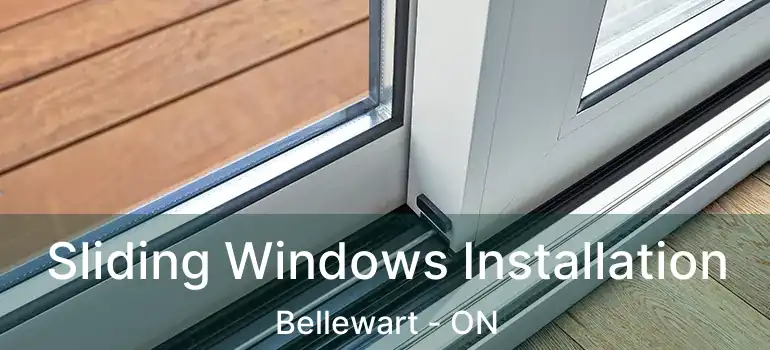  Sliding Windows Installation Bellewart - ON