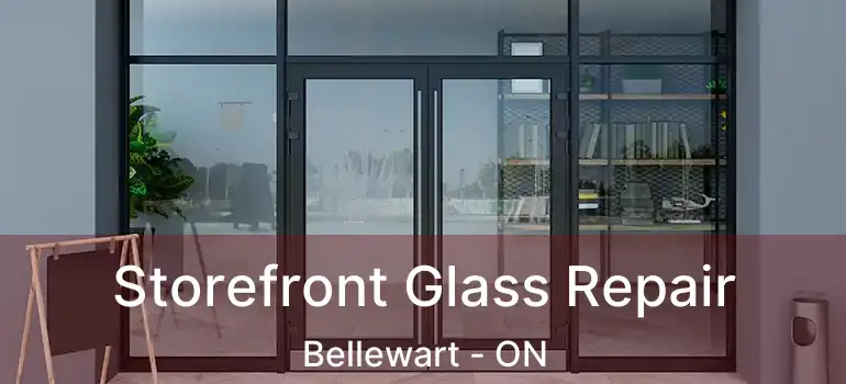  Storefront Glass Repair Bellewart - ON