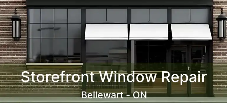  Storefront Window Repair Bellewart - ON
