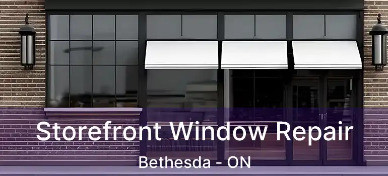  Storefront Window Repair Bethesda - ON