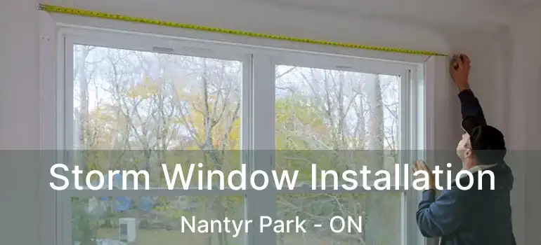  Storm Window Installation Nantyr Park - ON